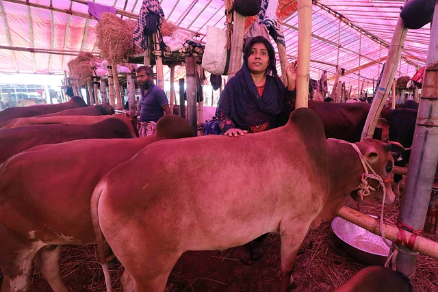 Salma, a woman seller at the beef market, ‘I’m not afraid of anything’